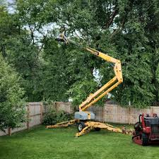 Reliable Dothan, AL Tree Removal Services Solutions